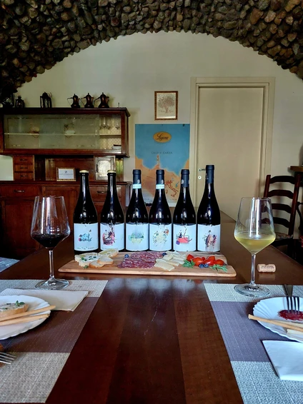 Degustazione di vini Lugana nella cantina più piccola del Lago di Garda 12